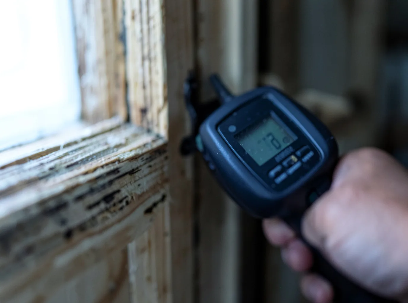 Moisture Inspection And Documentation in Taylorsville, CA